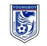 Dalian Yingbo crest